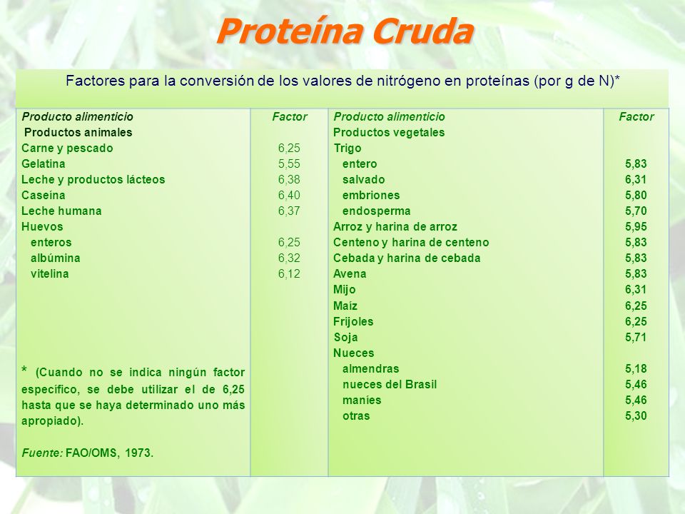 Que es la proteina cruda